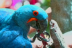 Photography: Image Editing