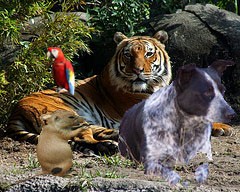 Photography: Image Editing